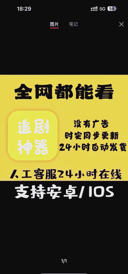 激情影院久久久的相关介绍
