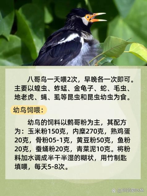 久久精品欧美h版的相关介绍