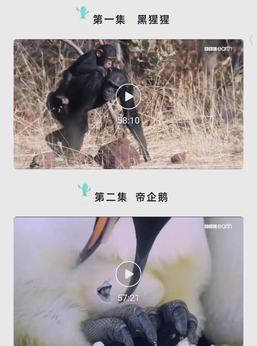国模吧大尺度图片的相关介绍