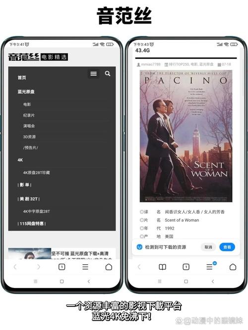 按摩伦理片黄色的相关介绍