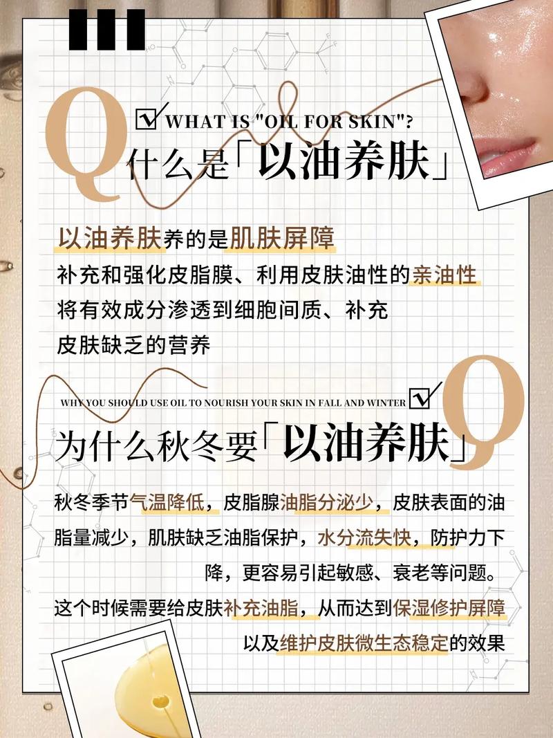 达达兔第九影院的相关介绍