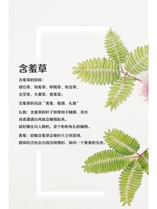 利民影院最新电影在线观看 - 高清免费影视资源推荐【利民影院】