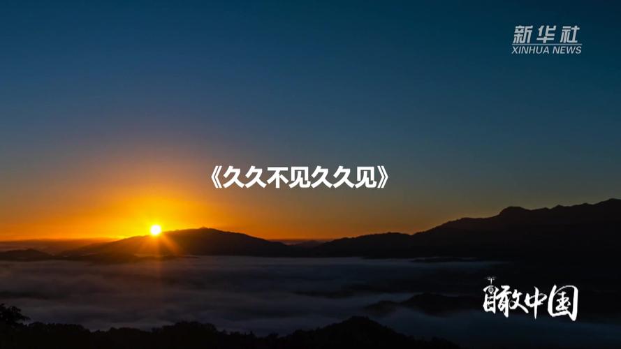 意大利伦理片子的相关介绍