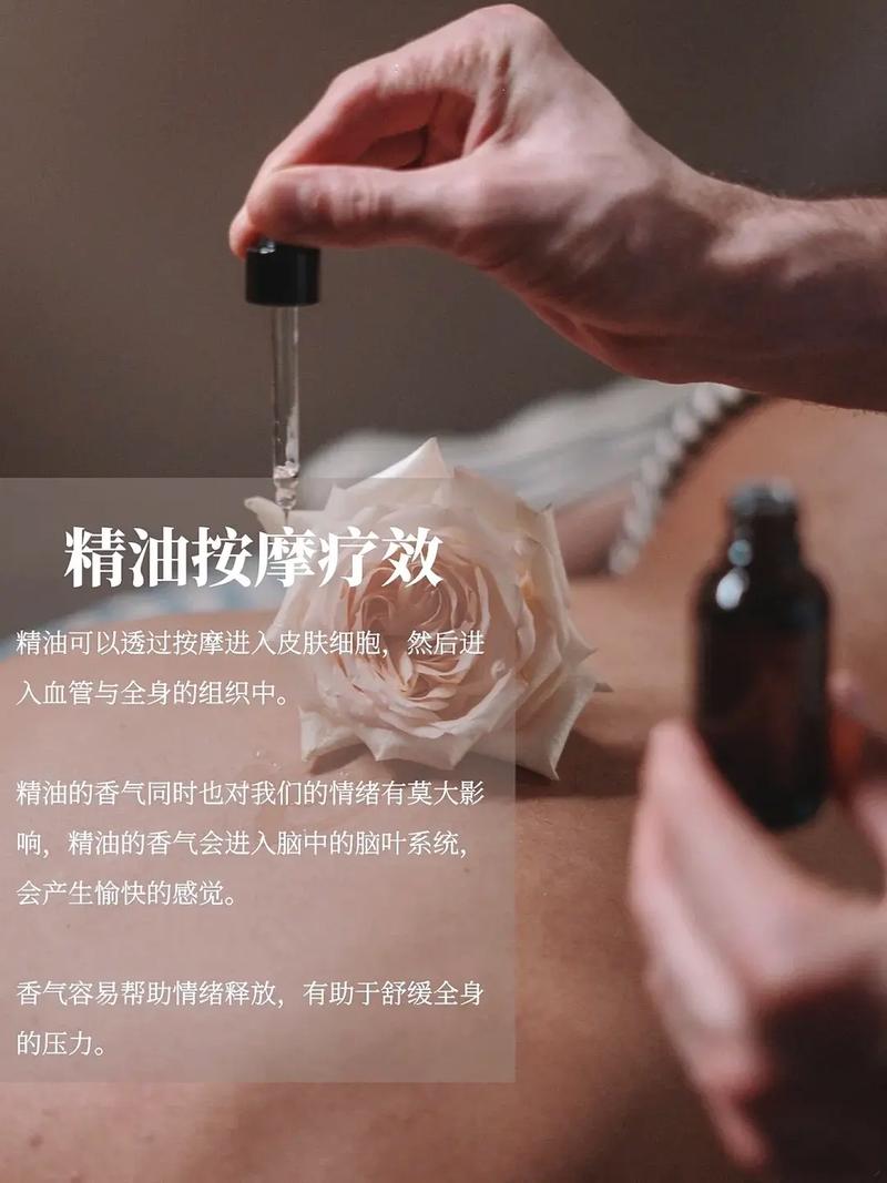 99精品人妻少妇一区二区的相关介绍