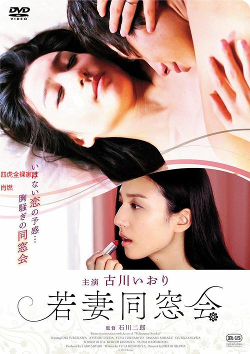 4480青苹果影院电视剧李卫当官的相关介绍