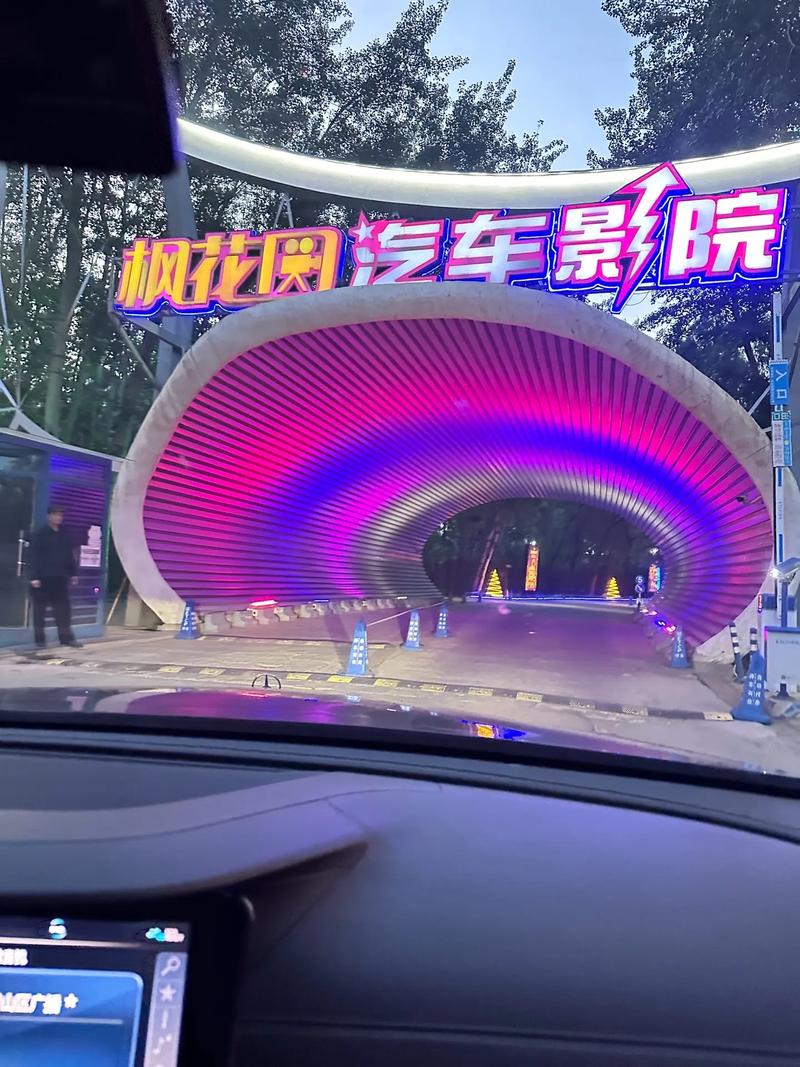 欧美成人精品在线播放的相关介绍