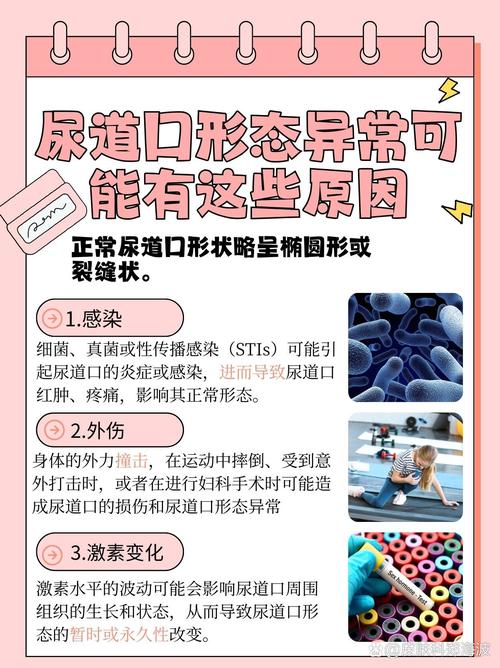 家庭影院品牌的相关介绍