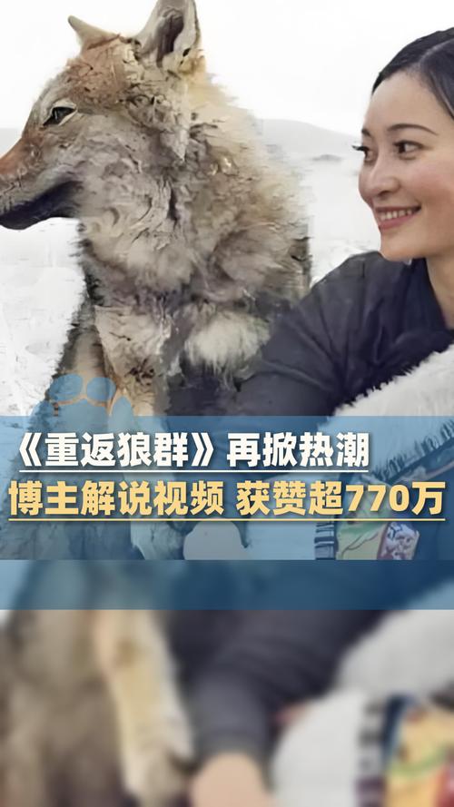 国产模特大尺度写真的相关介绍