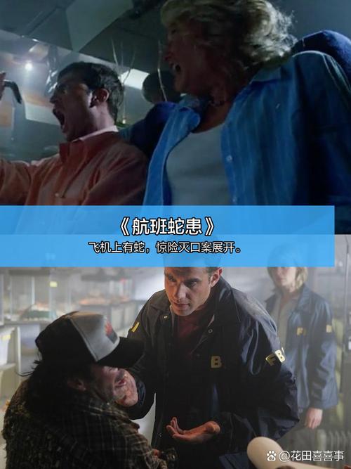 人妻人妻少妇在线系列的相关介绍