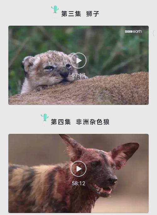 在线免费女人你懂的的相关介绍