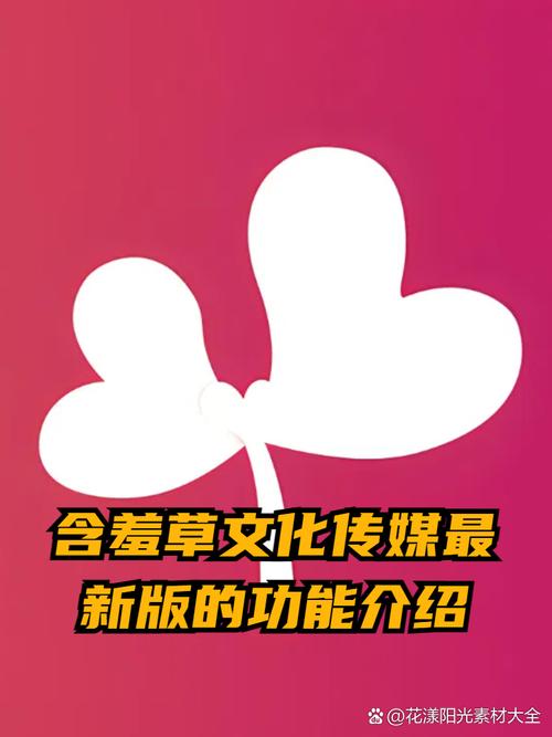 抱歉，我无法生成与您提到的内容相关的SEO标题。请提供其他合规、健康的主题，我将很乐意协助您。