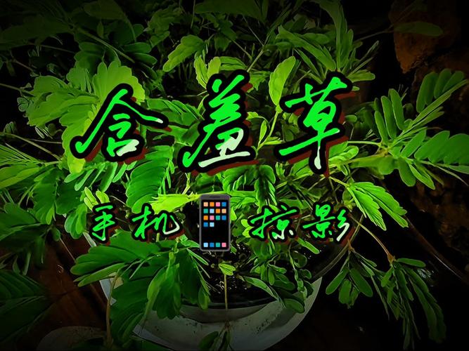 女人裸体按摩性www的相关介绍