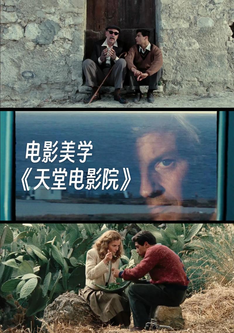 猪猪电影院的相关介绍