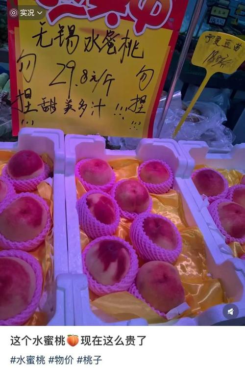 少妇人妻中出的相关介绍