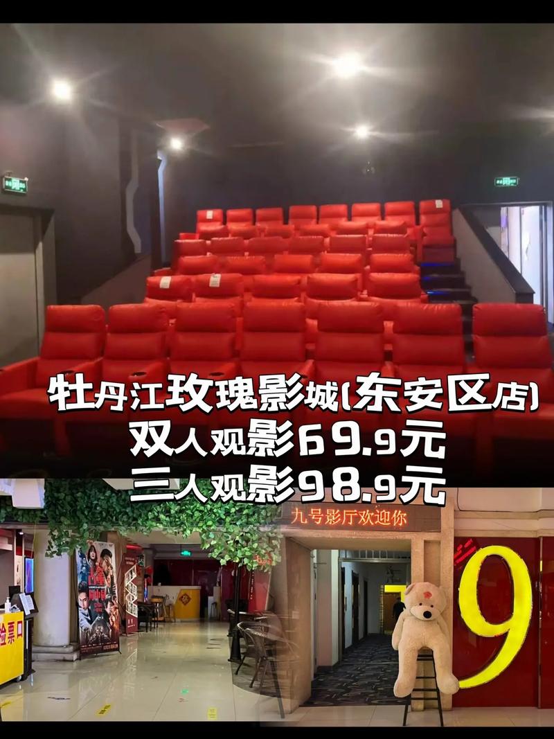 大卫29手机电影院的相关介绍