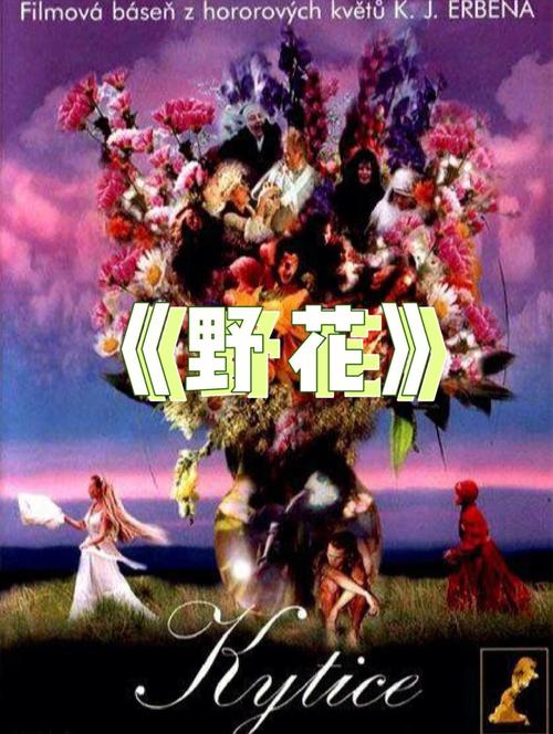 无套内射欧美一区二区的相关介绍