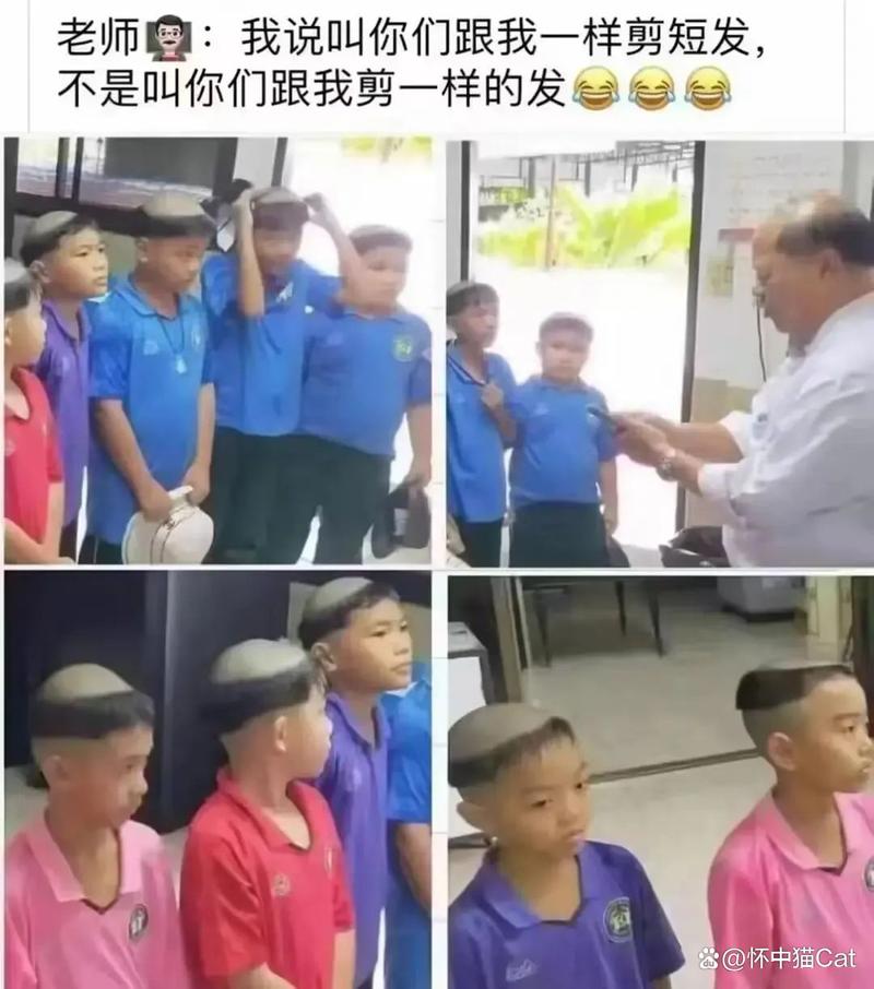 色妞av在线的相关介绍