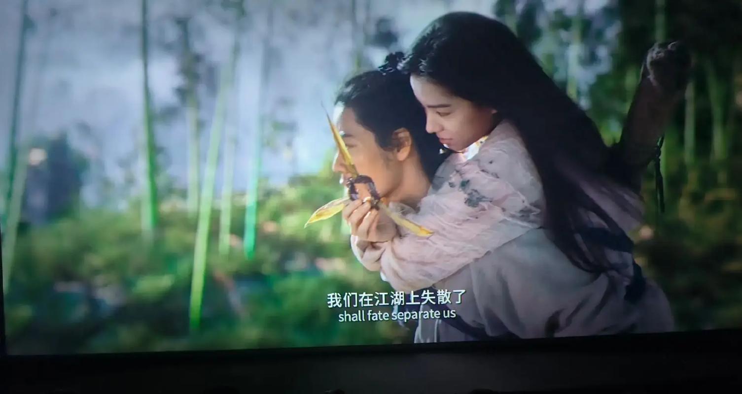 欧美一区二区三区久久久的相关介绍