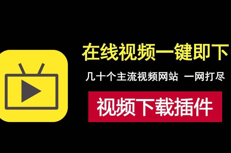 看毛片在线观看的相关介绍