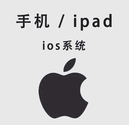 雅图电影院的相关介绍
