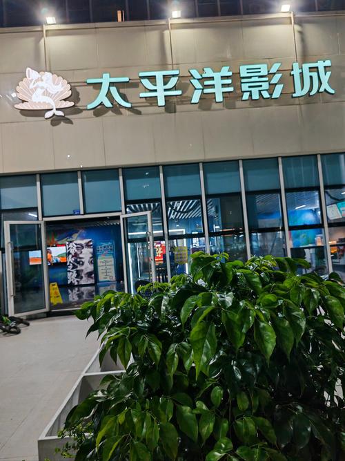 神马影院手机在线观的相关介绍