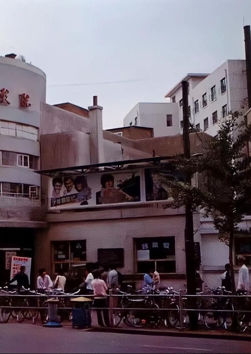 放几个毛片看看的相关介绍
