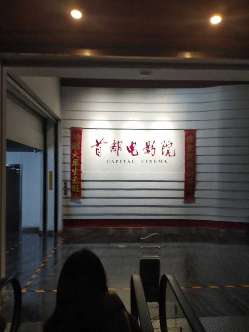 最近电影院上映的电影的相关介绍