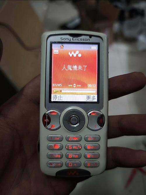 一边摸一边亲一边做的相关介绍