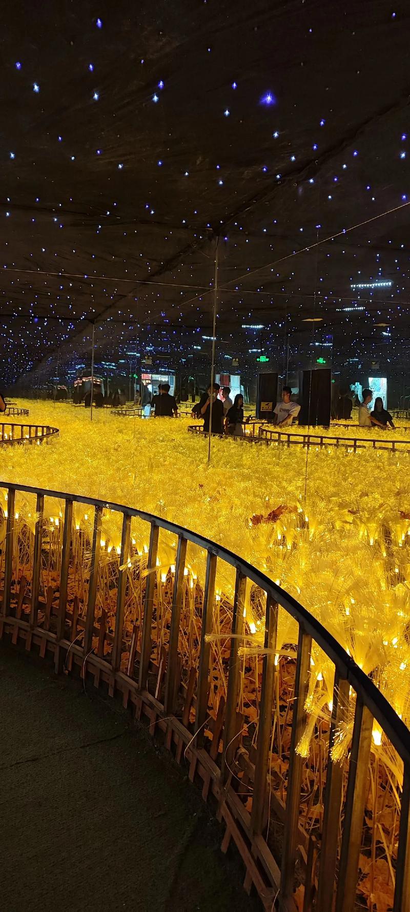 SEO标题：欧美另类SM艺术图集精选 | 暗黑风格视觉冲击 | 高质感张力大片