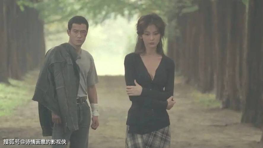 给我一个能看的毛片的相关介绍