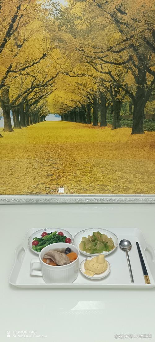 亚洲女人黄色录像的相关介绍