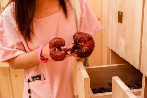 鄂州银兴电影院的相关介绍