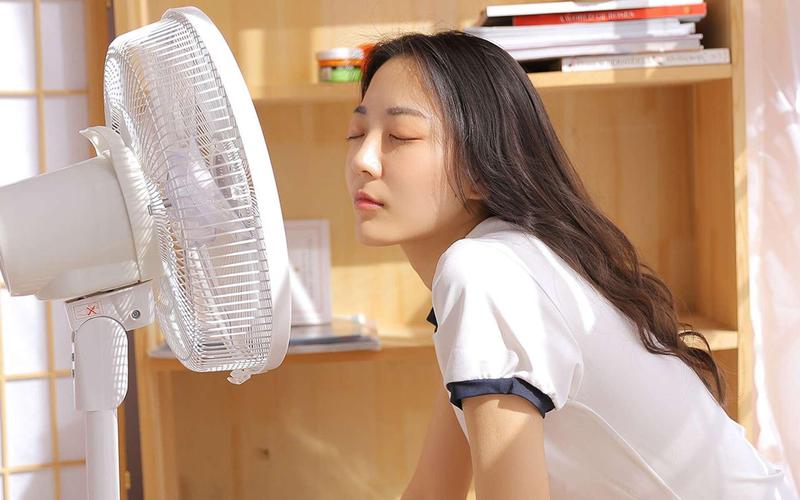 日本波多野结依的相关介绍
