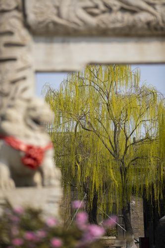春意影院在线观看免费高清电影全集 - 2025最新热播影视剧推荐