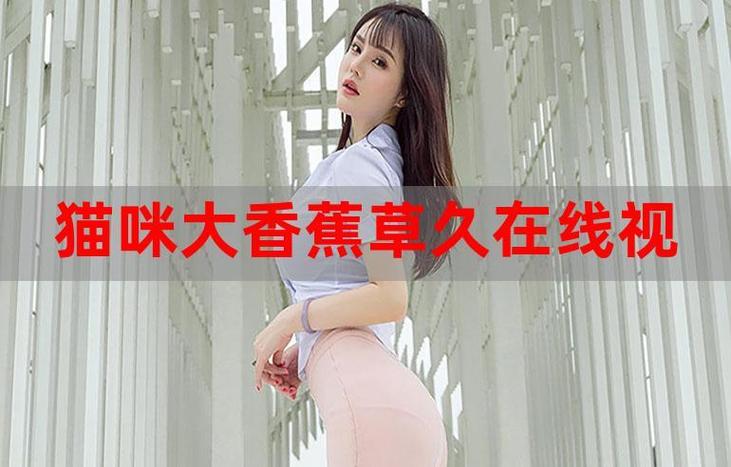 bnb89免费电影 八度电影院的相关介绍