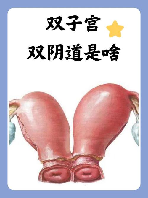 美女很黄很黄av的相关介绍