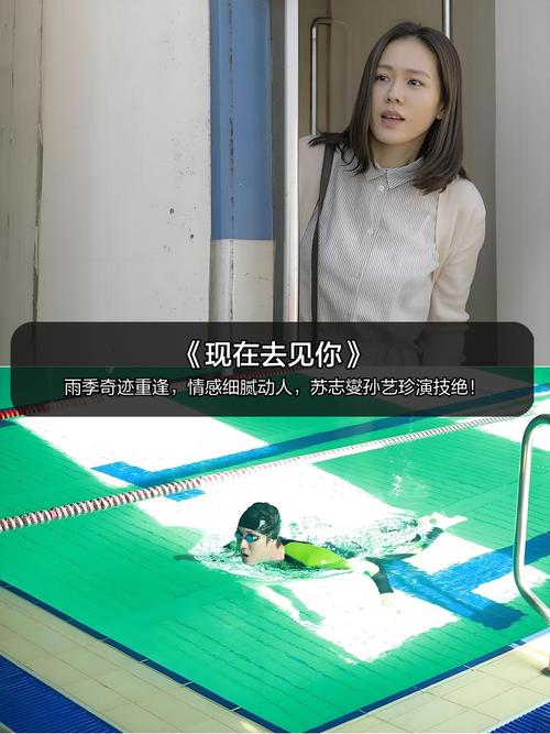 意大利 伦理片的相关介绍