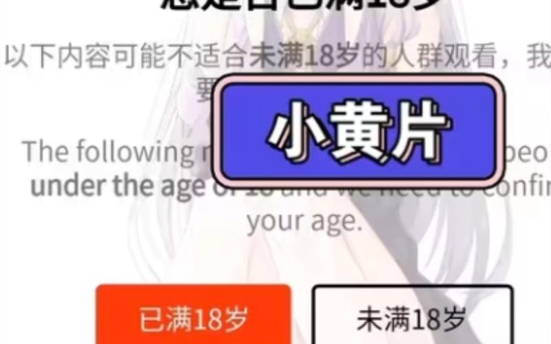 国产浮力影院限制的相关介绍
