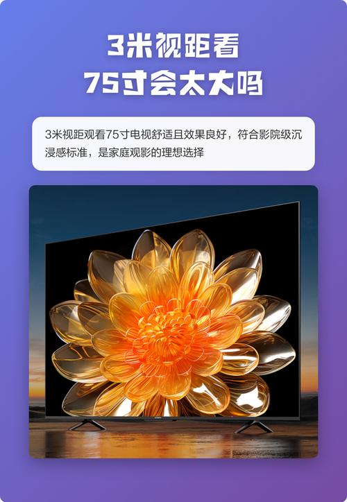 老师舔我的逼的相关介绍