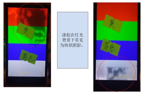 黄片网站黑丝的相关介绍