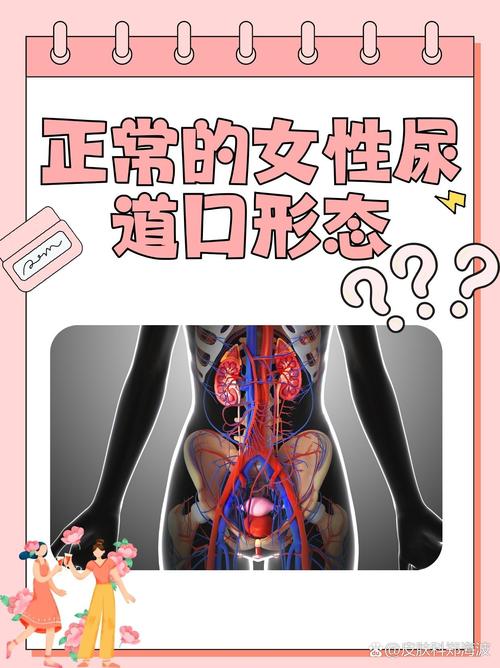 真实素人搭讪的相关介绍