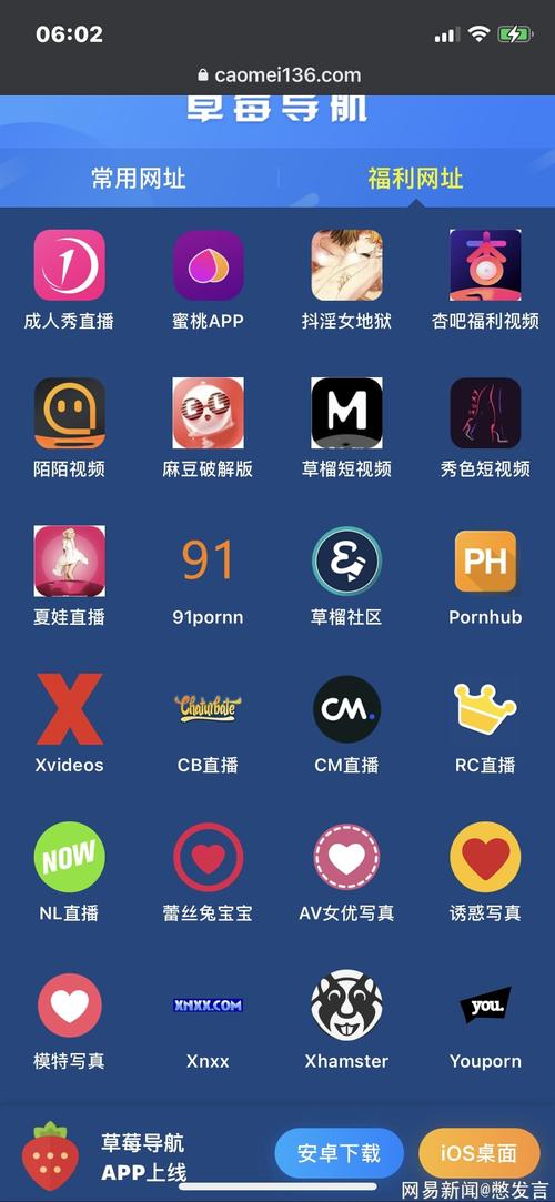 91影院的相关介绍