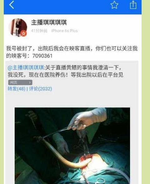 欧美一区二区三区黄色的相关介绍