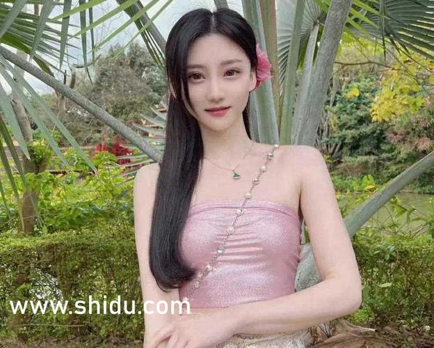 a版红楼梦在线影院的相关介绍