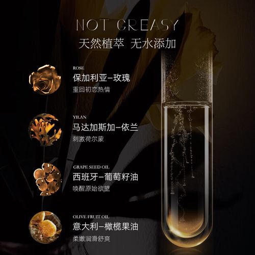 午夜影院在线播放版的相关介绍