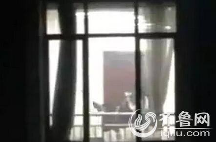 性感美女被狂插的相关介绍